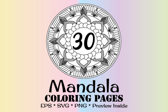 A Designer’s Review: The 30 Mandala Vector Bundle for Client Work