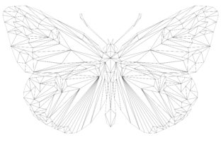 A Geodesic Butterfly Graphic for Elegant Branding & Packaging