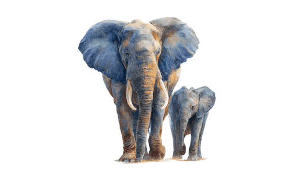 A Realistic Watercolor Elephant Design for Brand Storytelling