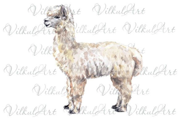 Evaluating a Watercolor Alpaka Design for Professional Client Work