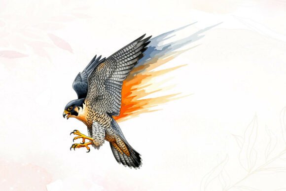 Peregrine Falcon Diving Graphics: A Publisher's Review