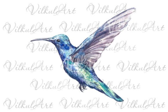 Practical Review: The Hummingbird Watercolor Sublimation Design