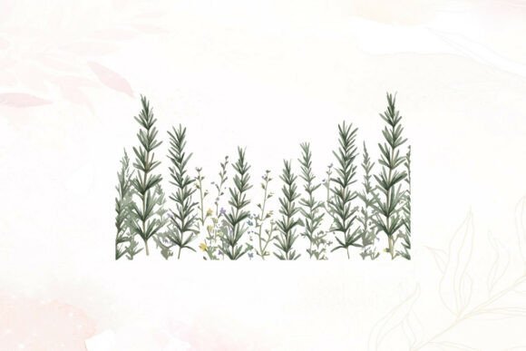 Rosemary Herb Border: A Versatile Watercolor Graphic
