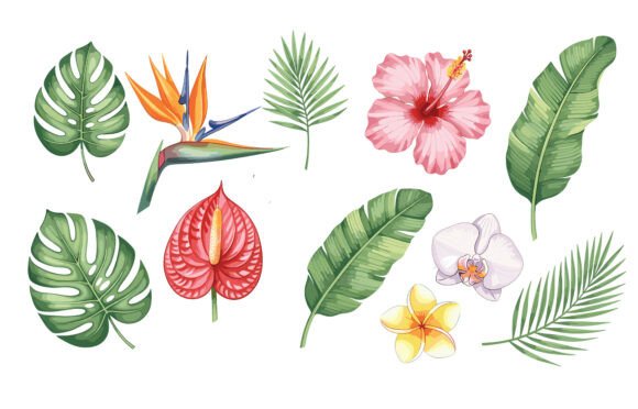 Watercolor Leaves Graphics for Editorial Design